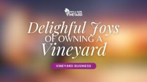 Read more about the article Exploring the Delightful Joys of Owning Your Own Vineyard