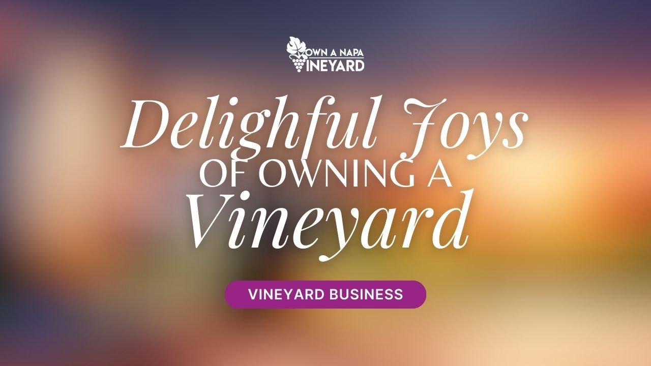 You are currently viewing Exploring the Delightful Joys of Owning Your Own Vineyard