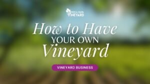 Read more about the article How To Have Your Own Vineyard For A Business