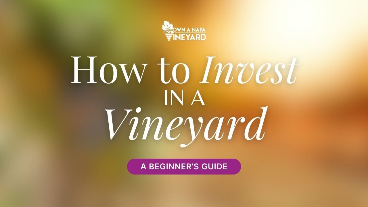 You are currently viewing How to Invest in a Vineyard: A Beginner’s Guide