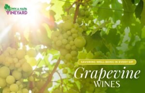 Read more about the article Grapevine Wines – Savoring Well-being in Every Sip