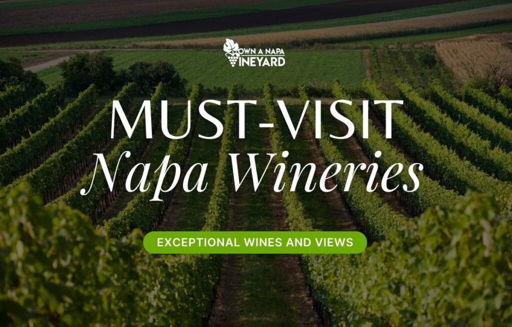 Must-Visit Napa Wineries - Exceptional Wines and Breathtaking Views