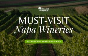 Read more about the article Must-Visit Napa Wineries – Exceptional Wines and Breathtaking Views