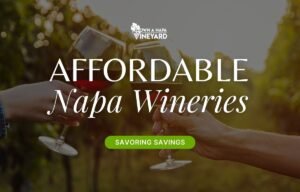 Read more about the article Savoring Savings – Your Guide to Affordable Napa Wineries