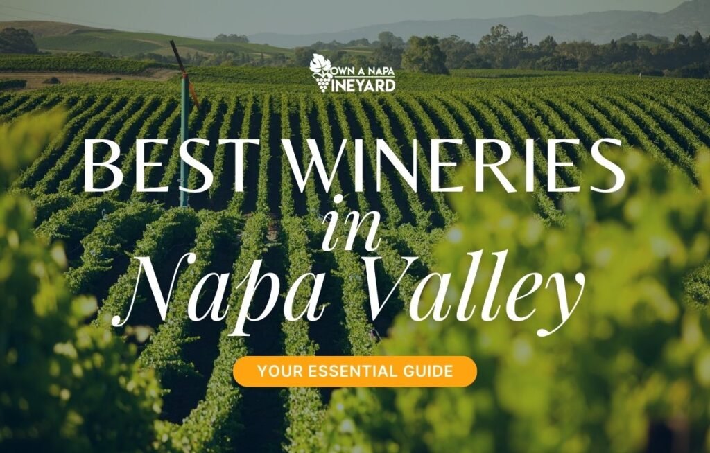 Best Wineries in Napa - Your Essential Guide