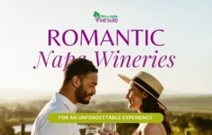 Read more about the article 5 Most Romantic Napa Wineries for an Unforgettable Experience