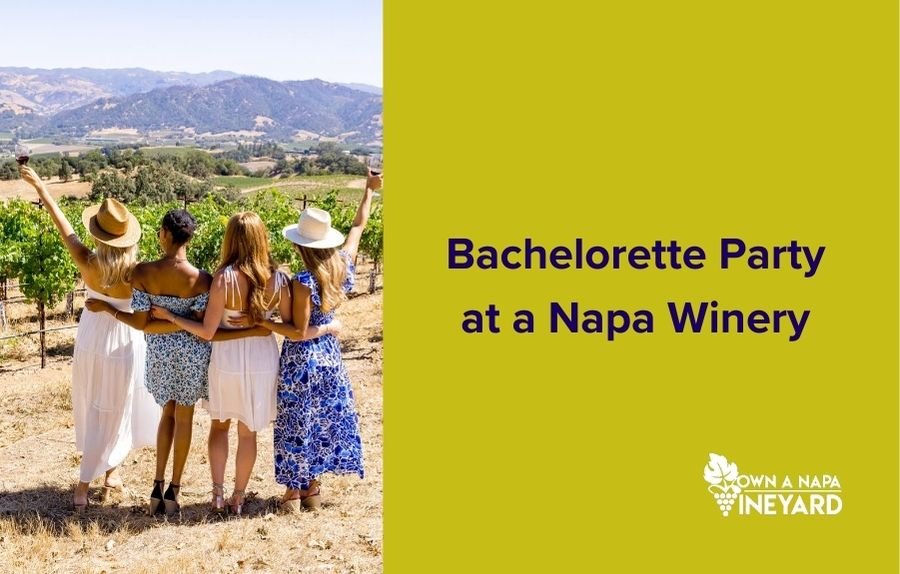 You are currently viewing How to Plan the Perfect Bachelorette Party at a Napa Winery?
