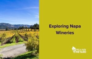 Read more about the article Exploring Napa Wineries with Caves Uncovered