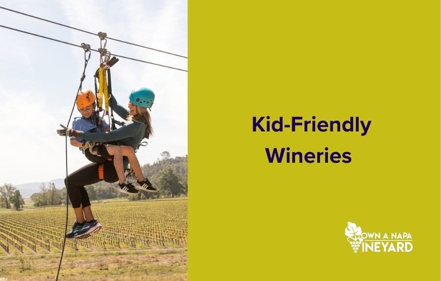 Read more about the article Best Kid-Friendly Wineries in Napa Valley for Families