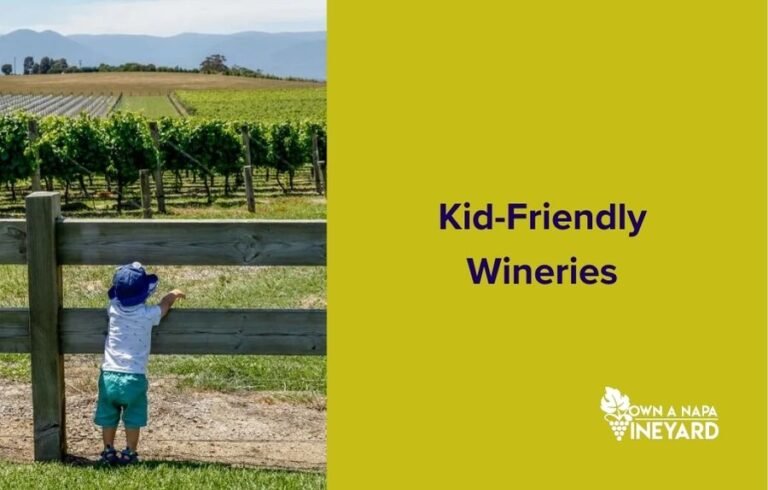 Discovering Kid-Friendly Wineries for Family Fun