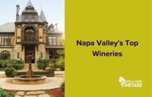 Read more about the article Napa Valley’s Top Wineries with Spectacular Views