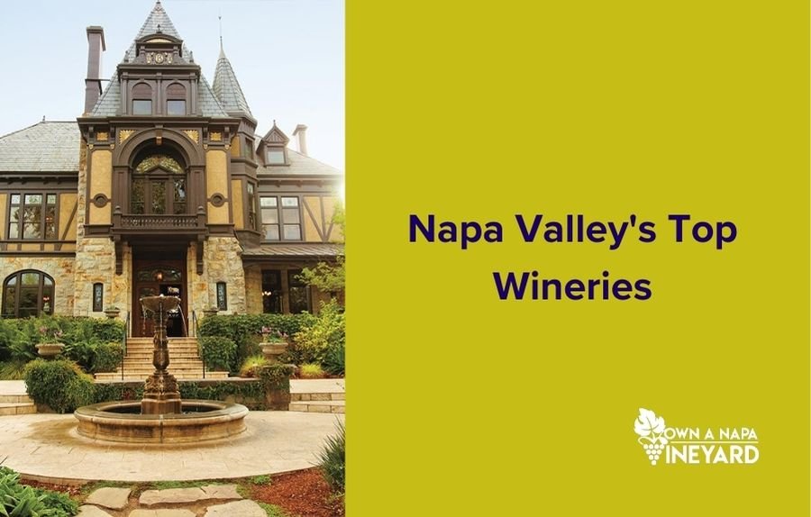 You are currently viewing Napa Valley’s Top Wineries with Spectacular Views
