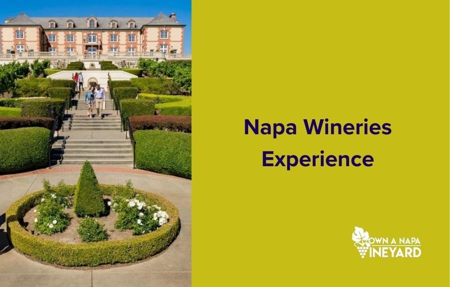 You are currently viewing Top Napa Wineries to Visit for an Unforgettable Experience