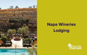 Read more about the article Relax and Unwind at Napa Wineries with Lodging