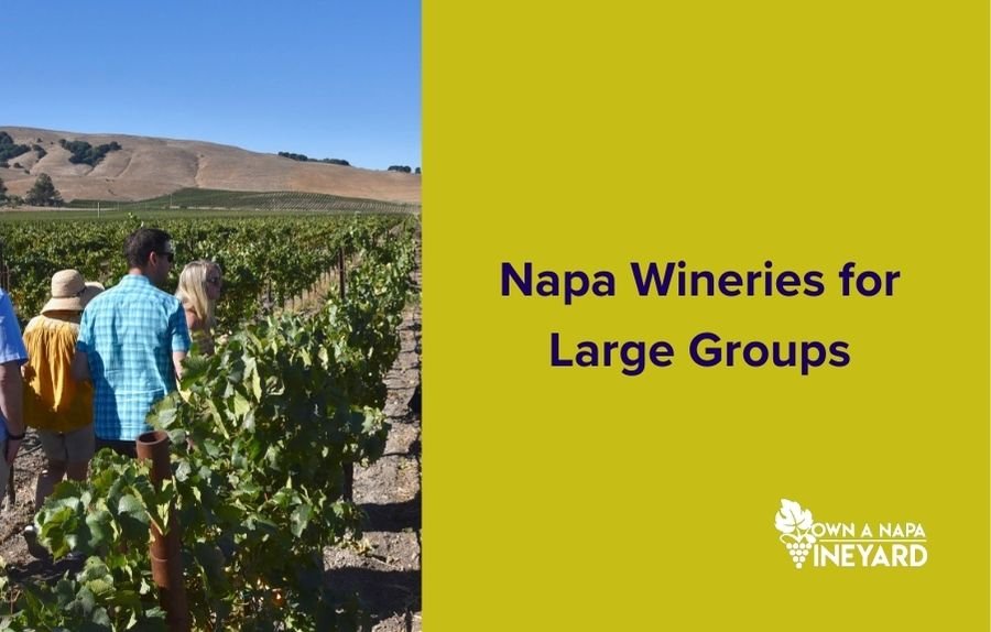 You are currently viewing The Best Napa Wineries for Large Groups