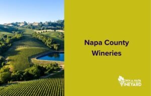 Read more about the article Discovering the Best Napa County Wineries