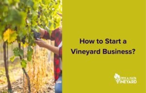Read more about the article How to Start a Vineyard Business?