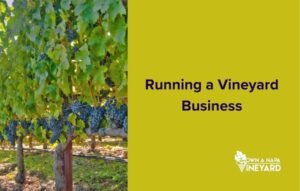 Running a Vineyard Business