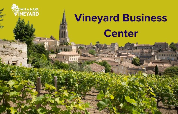 Read more about the article What is a Vineyard Business Center?