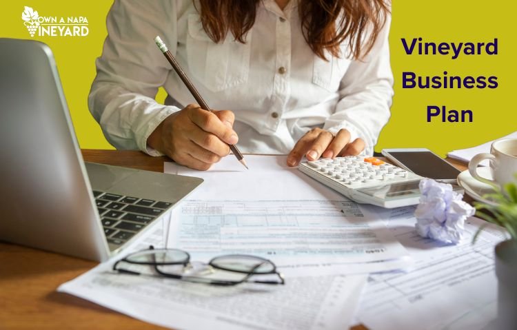 Read more about the article How to Create a Vineyard Business Plan?