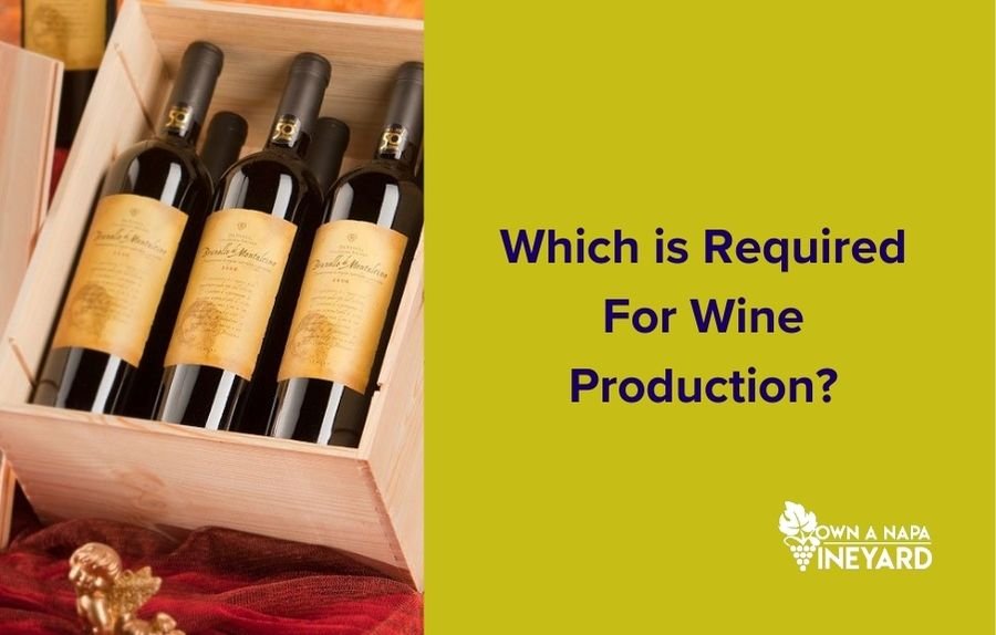You are currently viewing Which is Required For Wine Production?