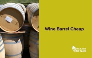 Read more about the article Where Can I Find a Wine Barrel Cheap for Stage Production