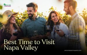 Read more about the article When is the Best Time to Visit Napa Valley