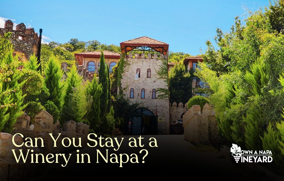 Read more about the article Can You Stay at a Winery in Napa Valley?