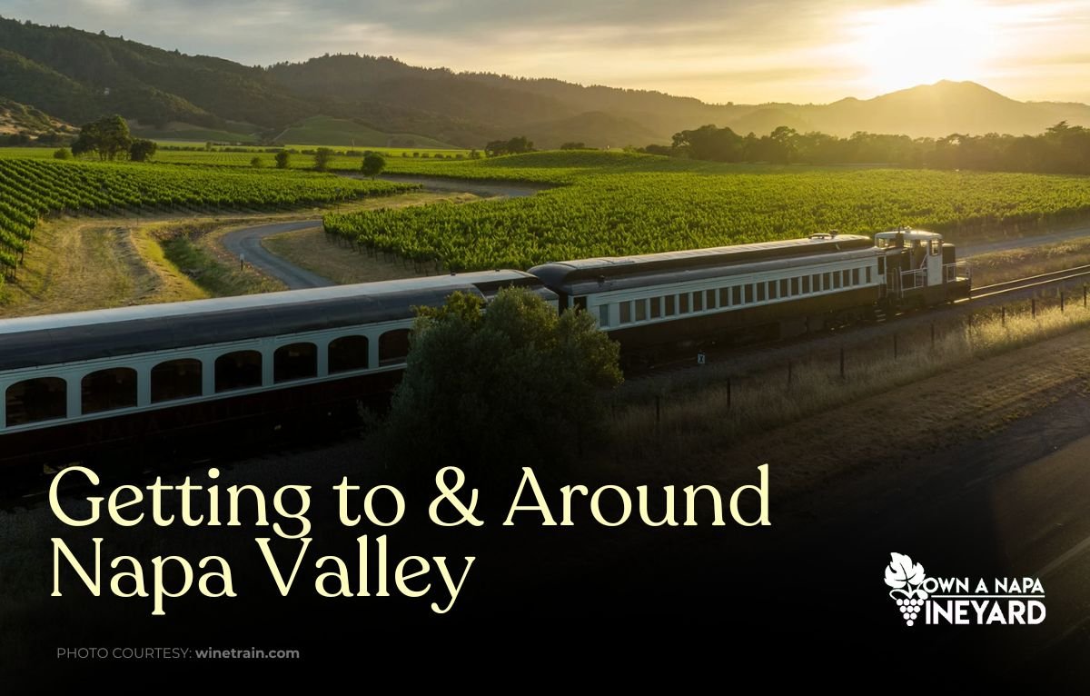 You are currently viewing Getting to & Around Napa Valley (2025 Guide)