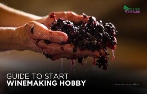 Read more about the article Ultimate Guide to Starting Your Own Wine Making Hobby at Home