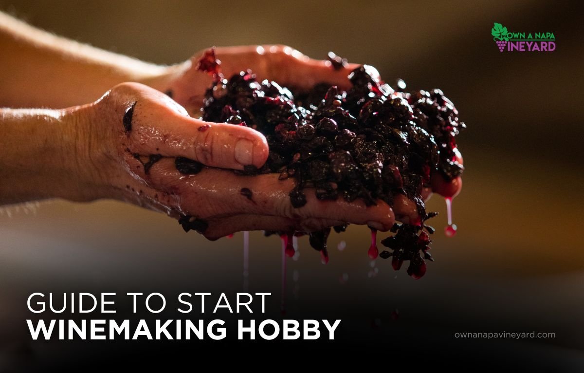 You are currently viewing Ultimate Guide to Starting Your Own Wine Making Hobby at Home