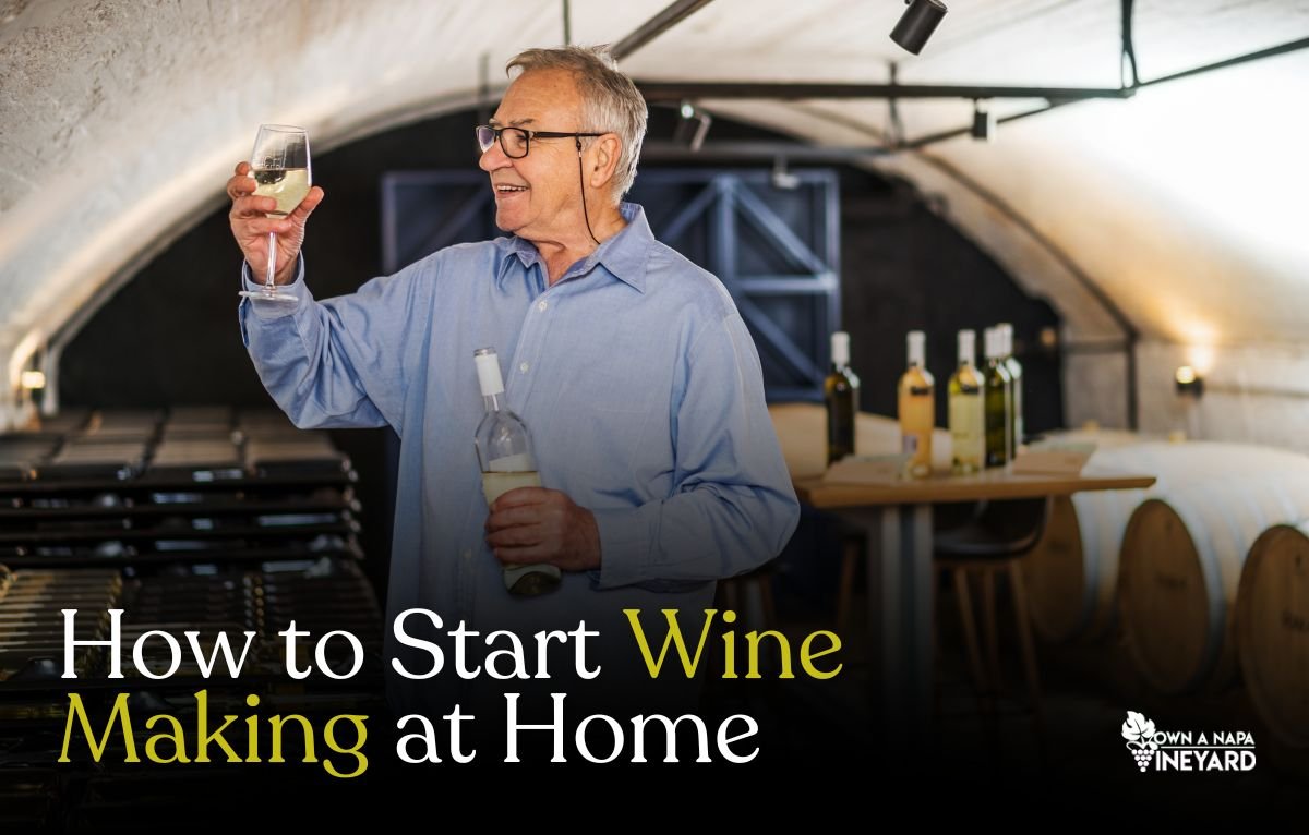 Read more about the article How to Start Wine Making at Home (Easy Step-by-Step)