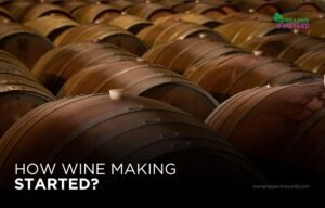 Read more about the article Tracing the Origins of Winemaking Through History