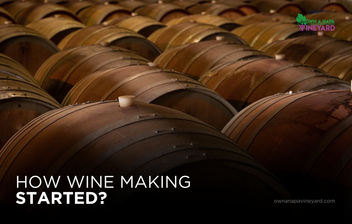 Read more about the article Tracing the Origins of Winemaking Through History