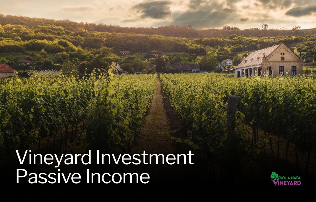 Read more about the article 5 Passive Income Ideas Through Vineyard Investment
