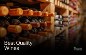 Read more about the article Is Premium Quality Wine Worth the Price?