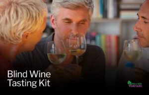Read more about the article Blind Wine Tasting Kit: Fun & Flavorful Experience