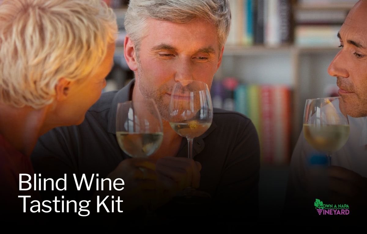 You are currently viewing Blind Wine Tasting Kit: Fun & Flavorful Experience