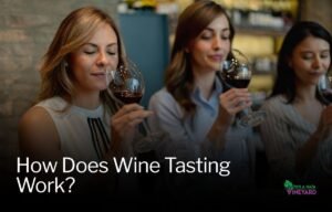 Read more about the article How Does Wine Tasting Work?