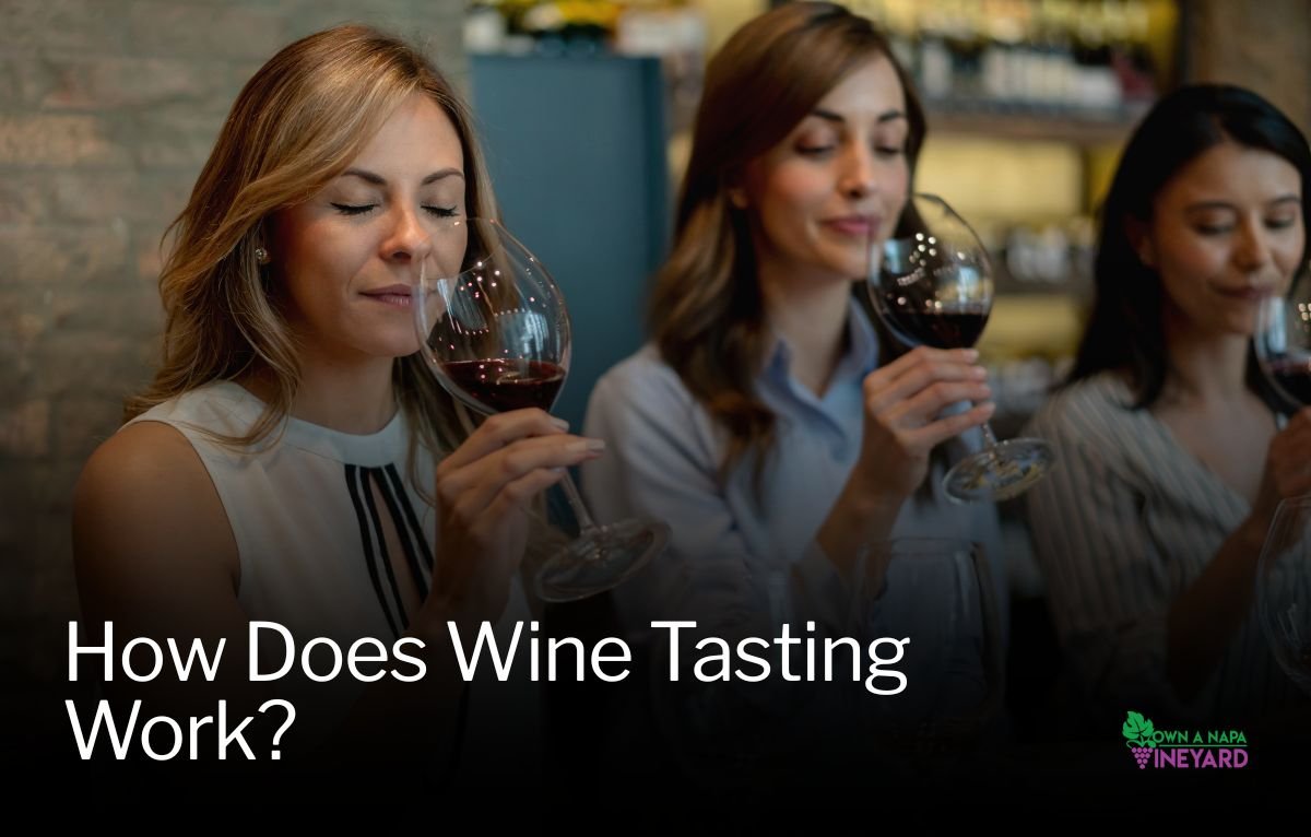 You are currently viewing How Does Wine Tasting Work?