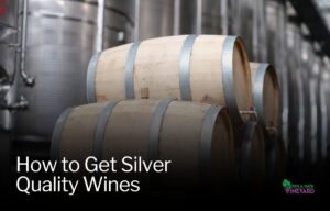 Read more about the article How to Get Silver Quality Wine