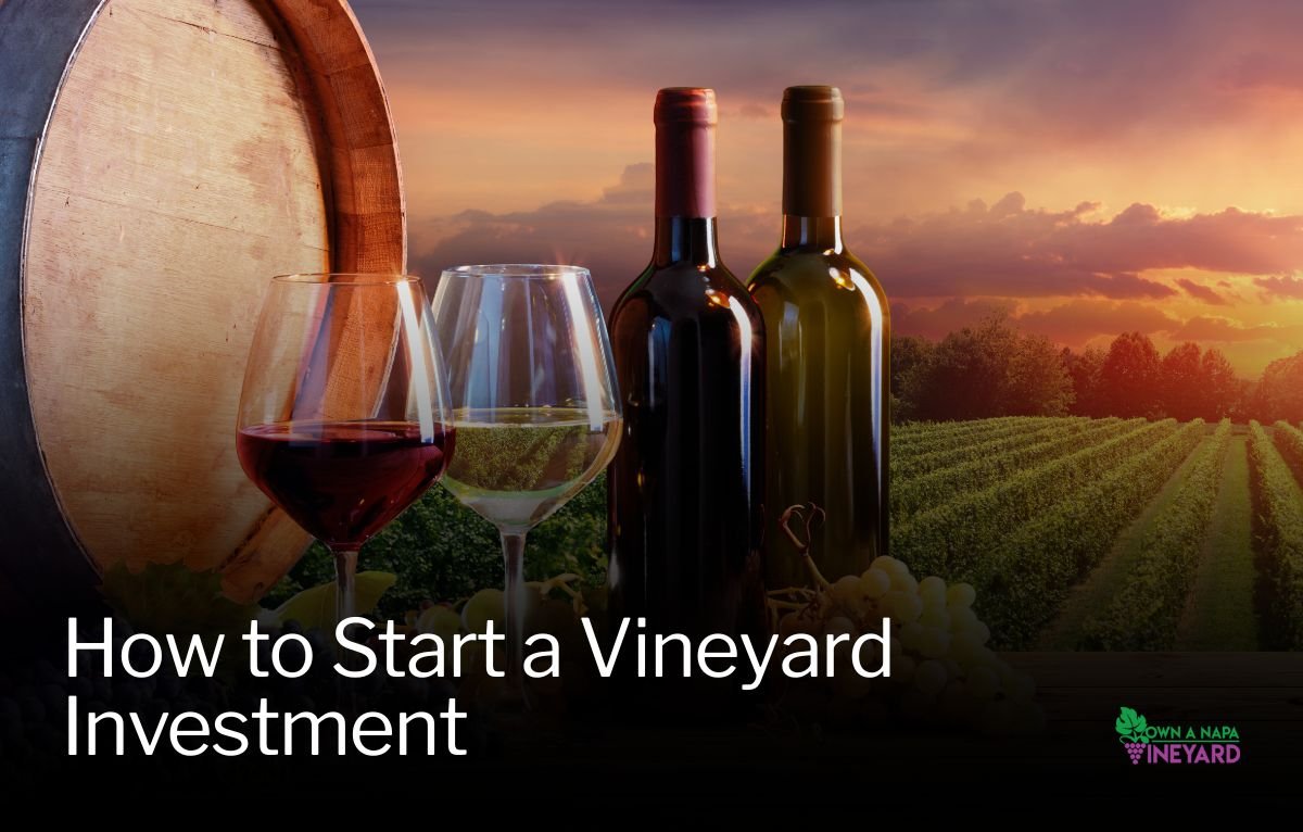 Read more about the article How to Start a Vineyard Investment Without Buying the Whole Land