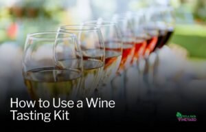 Read more about the article How to Use a Wine Tasting Kit