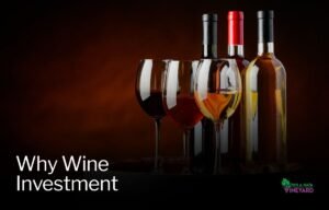 Read more about the article Why Wine Investment Works for Long-Term Growth and Diversification