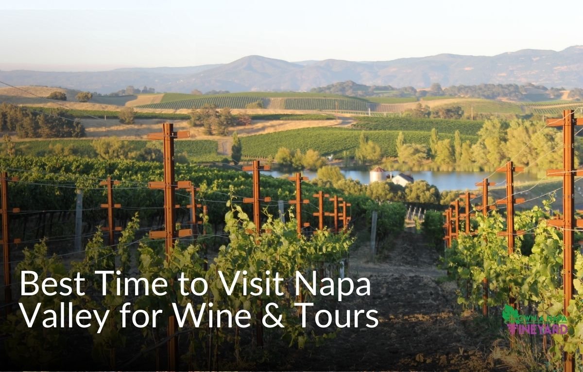 You are currently viewing Best Time to Visit Napa Valley for Wine & Tours