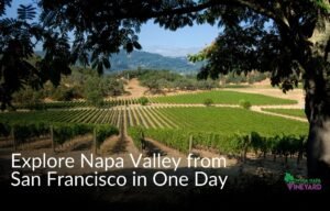 Read more about the article How to Explore Napa Valley from San Francisco in One Day