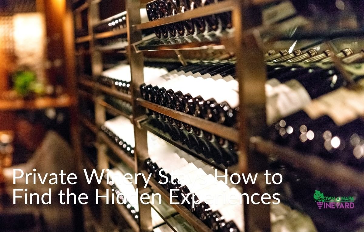 Read more about the article A Closer Look at Family-Owned Wineries in Napa Valley