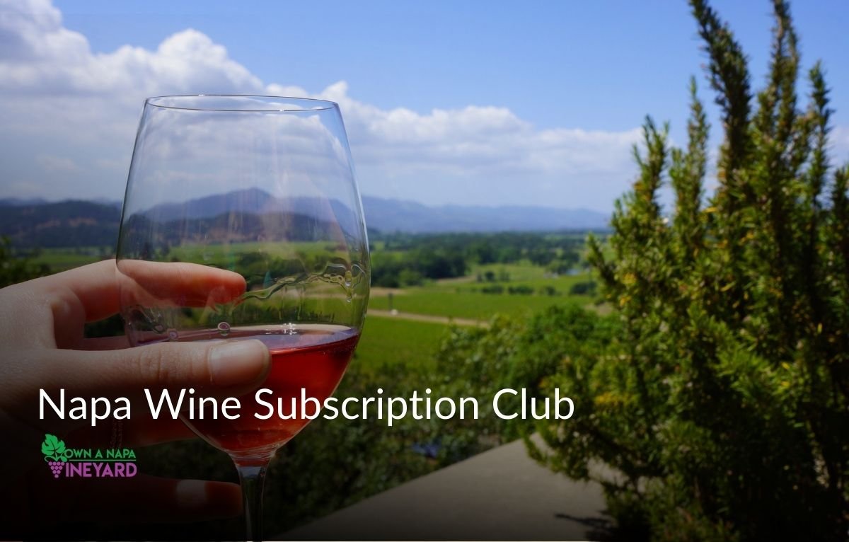 You are currently viewing 5 Top Reasons to Join a Napa Wine Subscription Club