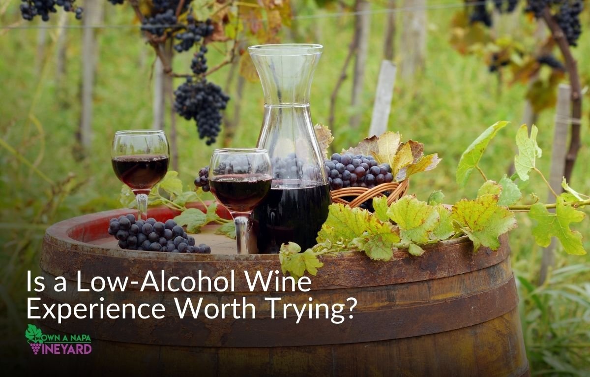 You are currently viewing Is a Low-Alcohol Wine Experience Worth Trying?