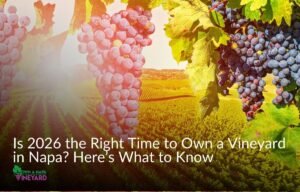 Read more about the article Is 2026 the Right Time to Own a Vineyard in Napa?